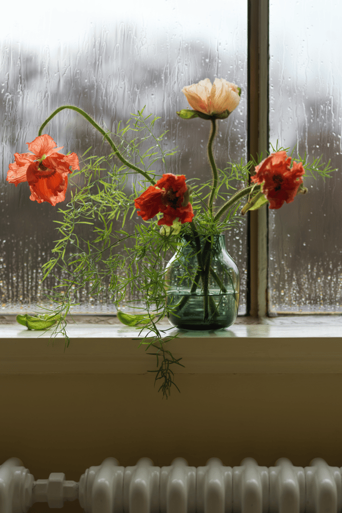 dark-green-silent-vase-11-muuto-org-23-roll-up-image